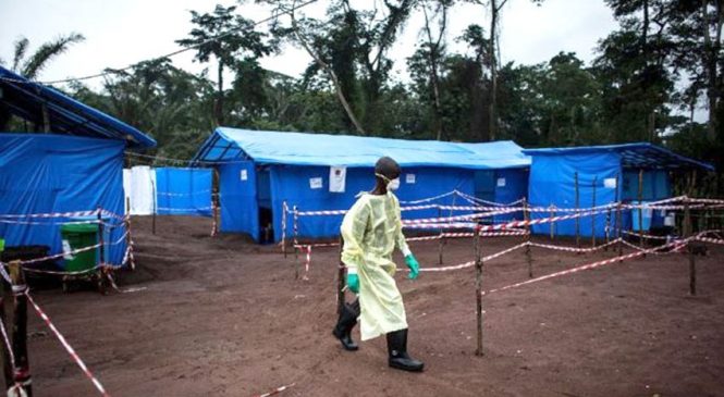 कंगोमा इबोला भाइरसका कारण १७ जनाको मृत्यु